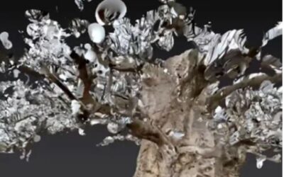 VIRTUAL TREE – Digileeb Studio