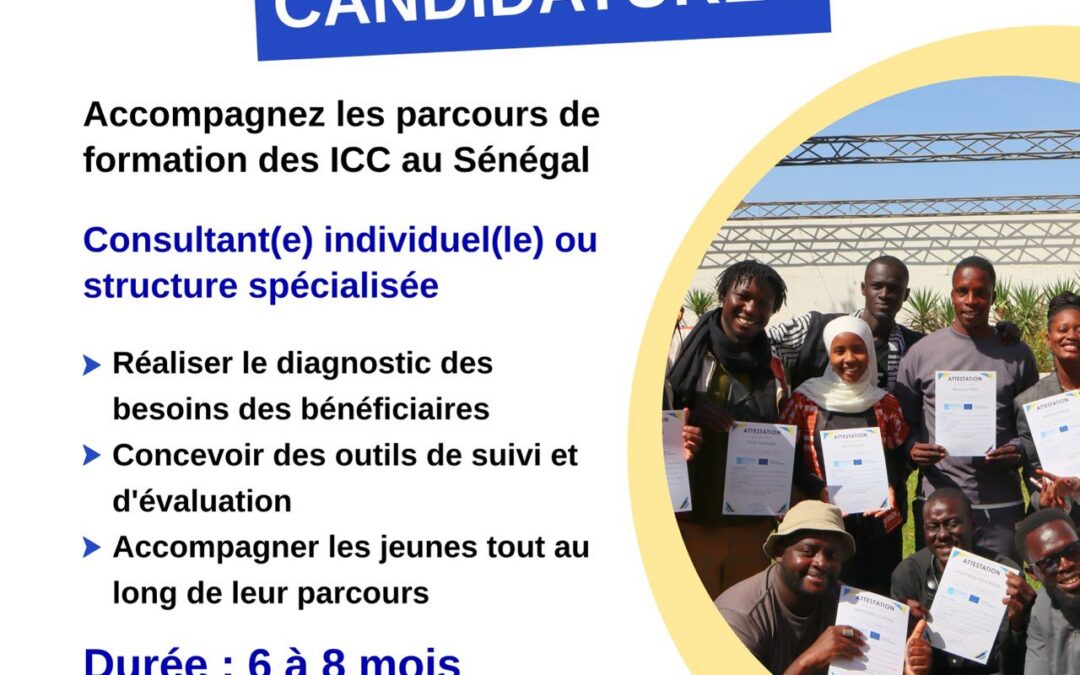 Recrutement d’un(e) consultant(e) individuel(le) pour la réalisation d’une cartographie des résidences artistiques et des centres culturels au Sénégal